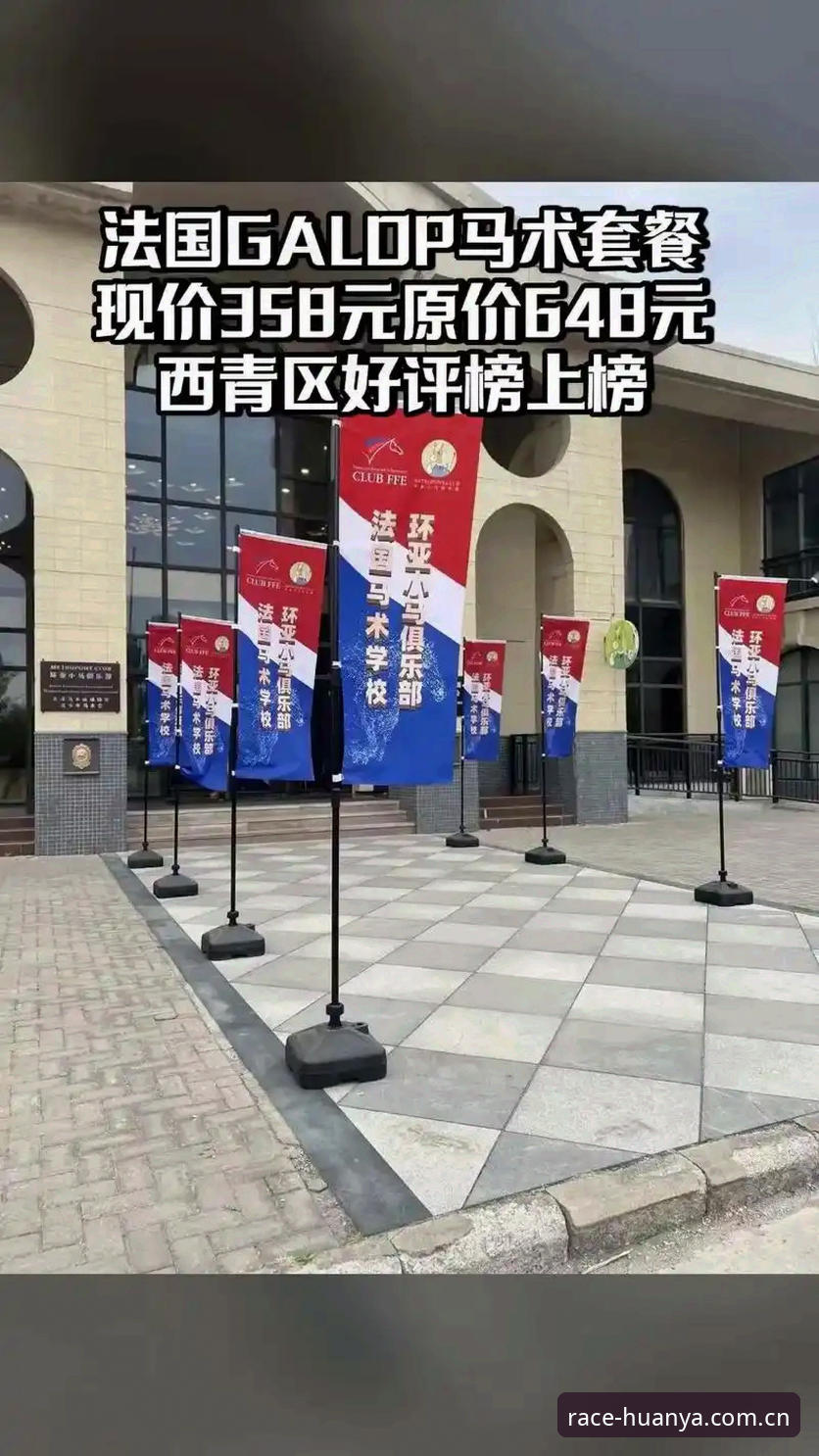 2026环亚体育CN官网电脑版完整使用指南：三步搞定下载、安装与数据查询